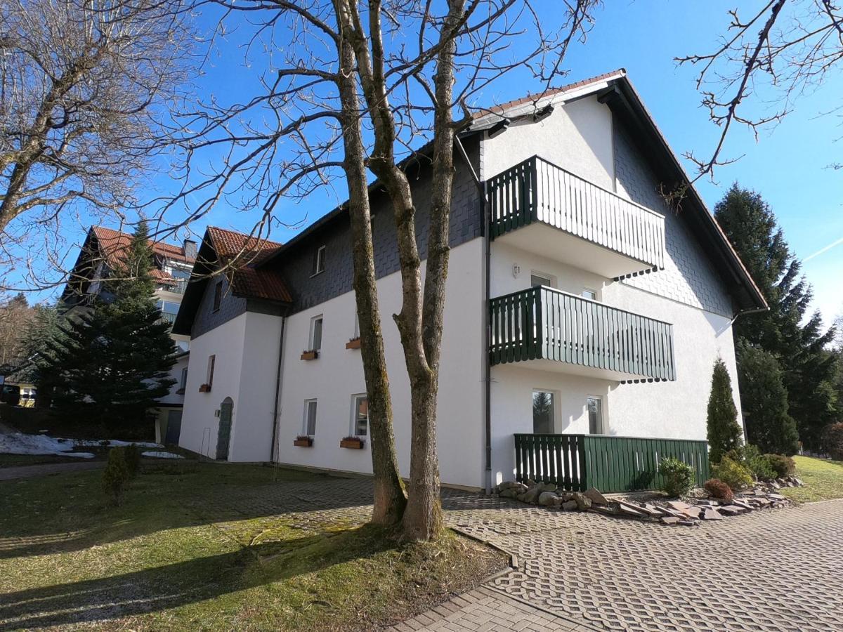 Apartment Am Huetteberg Braunlage Ngoại thất bức ảnh